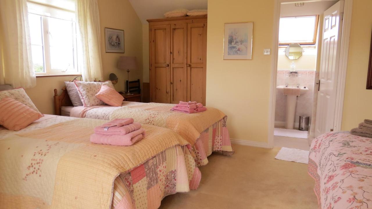 Bed and Breakfast Tyreda Ennis Exterior foto